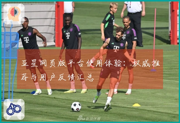 亚星网页版平台使用体验：权威推荐与用户反馈汇总