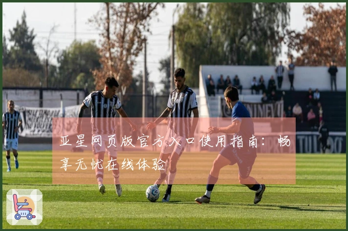 亚星网页版官方入口使用指南：畅享无忧在线体验